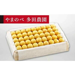 �y�ӂ邳�Ɣ[�Łz��2026�N ��s�\��₳������ ���I���R�� �˔��l 1100g�u��܂̂ב��c�_���v F2Y-1402