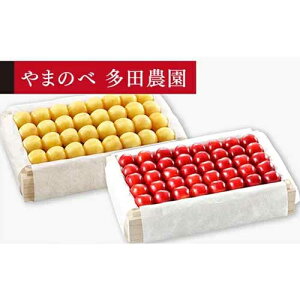 �y�ӂ邳�Ɣ[�Łz��2026�N ��s�\��₳������ ���R�сE�g�G�� ���I�˔��l 700g×2�u��܂̂ב��c�_���v F2Y-1403