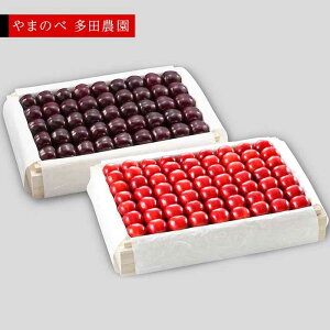 �y�ӂ邳�Ɣ[�Łz��2026�N ��s�\��₳������ �^�Ẵ��r�[�g�P�E�T�~�b�g ���I�˔��l 1100g×2�u��܂̂ב��c�_���v F2Y-1404