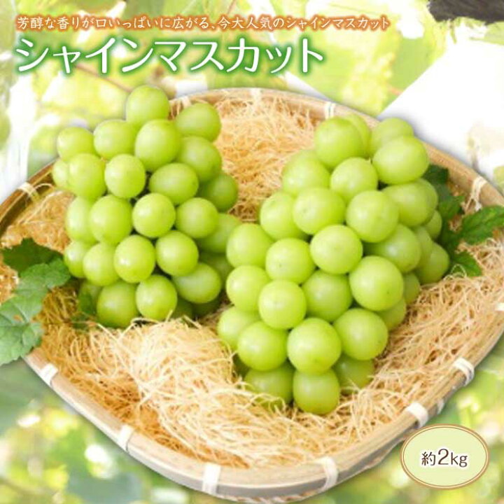 楽天市場 ふるさと納税 先行予約 ぶどうの名産南陽産直 シャインマスカット約2kg F2y 1430 山形県