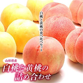 【ふるさと納税】《先行予約》白桃と黄桃の詰め合わせ 約3kg F2Y-1465