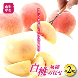 楽天市場 ふるさと納税 桃 フルーツ 果物 食品の通販