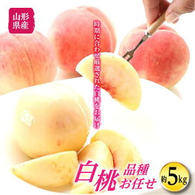【ふるさと納税】秋の収穫 白桃 約5kg F2Y-1468