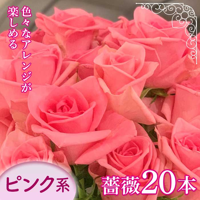 至上 超目玉 旬の 薔薇20本 薔薇名産地山形 ピンク系 F2Y-1641 pro-asia.com pro-asia.com