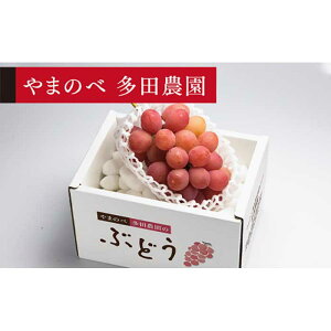 �y�ӂ邳�Ɣ[�Łz��2026�N ��s�\���N�C�[���j�[�i1�[����s��܂̂ב��c�_���̂Ԃǂ��t �Ԃǂ� �u�h�E ���� �f�U�[�g �t���[�c �ʕ� �������� �ʎ� �H�i �R�`�� F2Y-1791