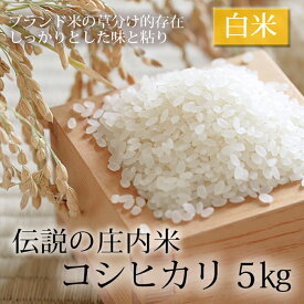 【ふるさと納税】伝説の庄内米 コシヒカリ 5kg F2Y-1948
