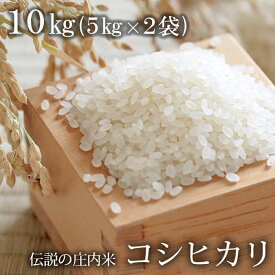 【ふるさと納税】伝説の庄内米 コシヒカリ 10kg F2Y-1949