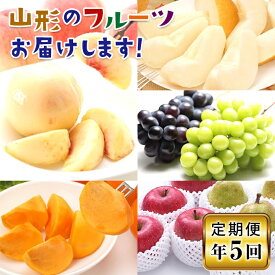 【ふるさと納税】山形フルーツ★すこだま定期便A 年5回 F2Y-1963
