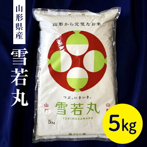 yӂ邳Ɣ[Łz ߘa7NxY R`Y 5kg F2Y-4540