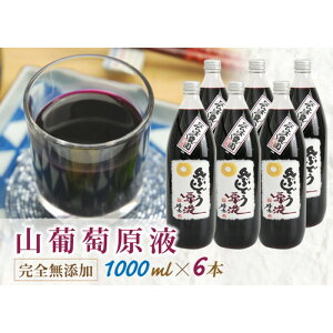 yӂ邳Ɣ[ŁzRԂǂtʏ`W[X1000ml×6{ F2Y-4080