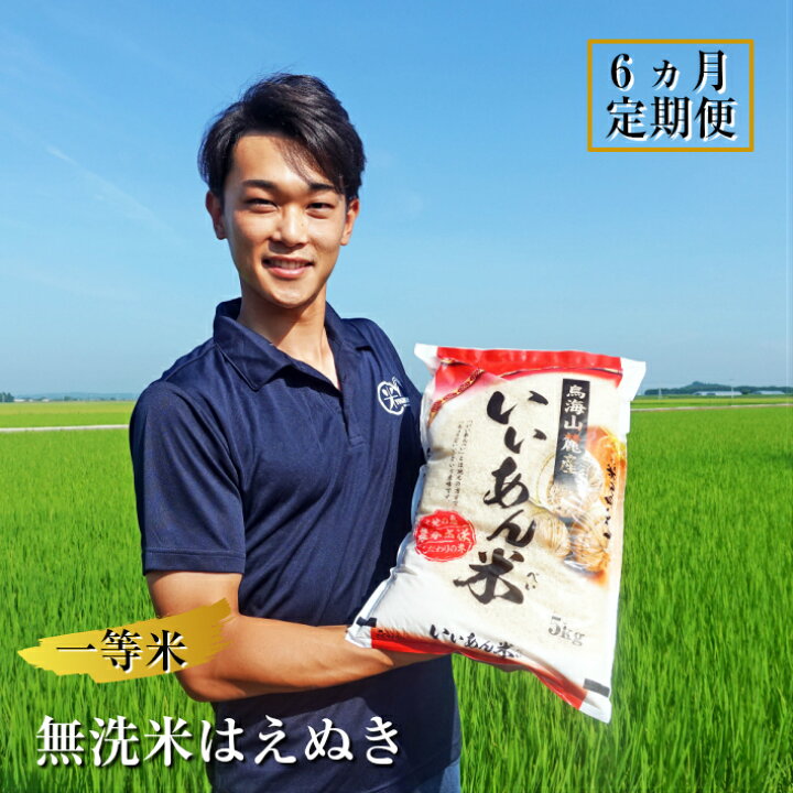 楽天市場 ふるさと納税 定期便 一等米 無洗米 はえぬき 5kg 6ヶ月連続 計30kg 山形県庄内産 ご希望の毎月下旬頃お届け 米 定期便 山形県酒田市