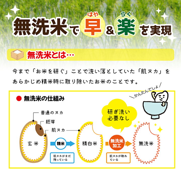 楽天市場】【ふるさと納税】≪新米予約≫ 無洗米 はえぬき 5kg×2袋 計10kg 一等米 令和4年産米 山形県庄内産 ご希望の時期頃お届け 米 お米 庄内米 精米 白米 ごはん 東北 山形県 酒田市 庄内 農家直送 産地直送 : 山形県酒田市 楽天市場】【ふるさと納税】≪新米予約≫ 無洗米 はえぬき 5kg×2袋 計10kg 一等米 令和4年産米 山形県庄内産 ご希望の時期頃お届け 米 お米 庄内米 精米 白米 ごはん 東北 山形県 酒田市 庄内 農家直送 産地直送 : 山形県酒田市