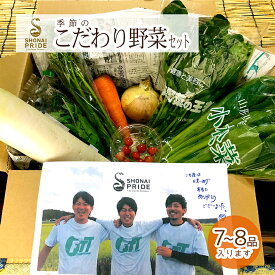 【ふるさと納税】SHONAI PRIDE 季節のこだわり野菜セット 野菜7〜8品 冷蔵便 ※離島発送・着日指定不可