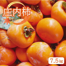 【ふるさと納税】庄内柿 約7.5kg 山形県酒田産 10月下旬〜11月中旬頃お届け ※着日指定不可 柿 かき カキ 種無し 平核無柿 果物 フルーツ 秋 東北 山形県 酒田市 庄内