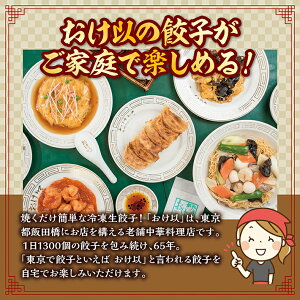 【ふるさと納税】餃子の店おけ以の冷凍生餃子48個(24個入り2箱)ニンニク不使用タレ無し冷凍便※離島発送不可