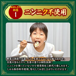 【ふるさと納税】餃子の店おけ以の冷凍生餃子48個(24個入り2箱)ニンニク不使用タレ無し冷凍便※離島発送不可