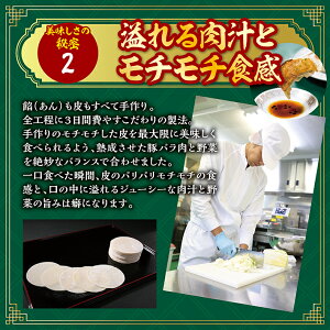 【ふるさと納税】餃子の店おけ以の冷凍生餃子48個(24個入り2箱)ニンニク不使用タレ無し冷凍便※離島発送不可