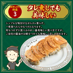【ふるさと納税】餃子の店おけ以の冷凍生餃子48個(24個入り2箱)ニンニク不使用タレ無し冷凍便※離島発送不可
