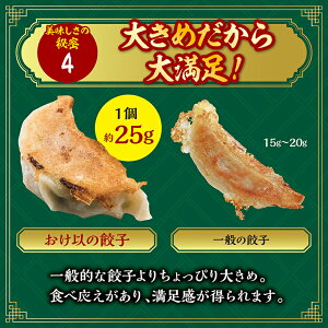【ふるさと納税】餃子の店おけ以の冷凍生餃子48個(24個入り2箱)ニンニク不使用タレ無し冷凍便※離島発送不可