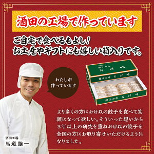 【ふるさと納税】餃子の店おけ以の冷凍生餃子48個(24個入り2箱)ニンニク不使用タレ無し冷凍便※離島発送不可