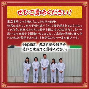 【ふるさと納税】餃子の店おけ以の冷凍生餃子48個(24個入り2箱)ニンニク不使用タレ無し冷凍便※離島発送不可