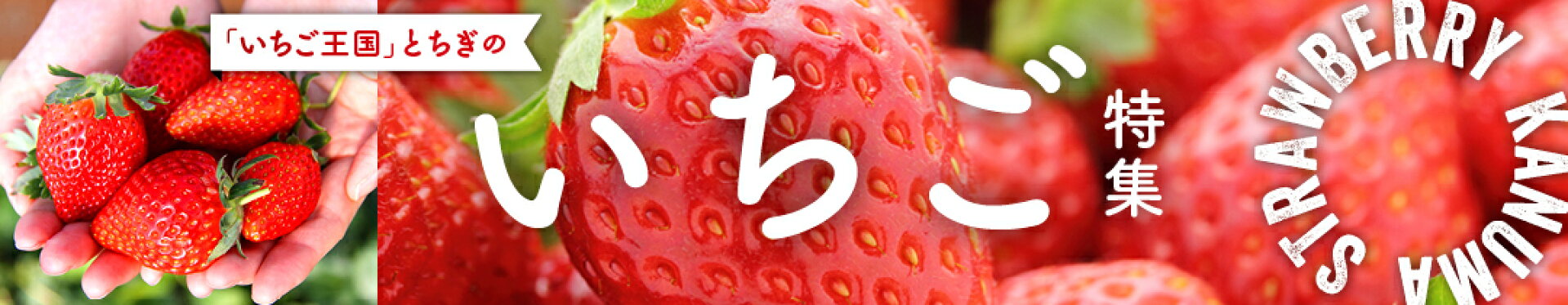 鹿沼市 いちご
