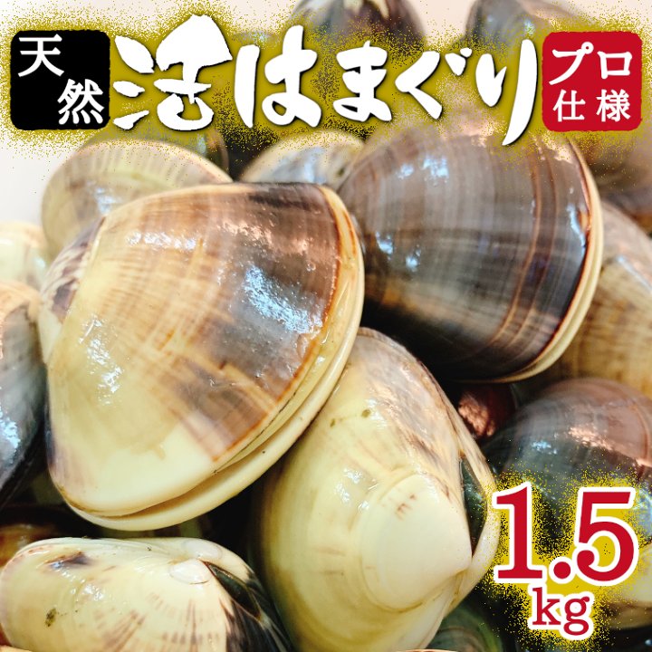 楽天市場 ふるさと納税 訳あり はまぐり ハマグリ 蛤 増量 国産 天然 砂抜き 送料無料 1 5kg 1kg超 千葉県産 九十九里産 レシピ 10月 7月発送 期間限定 コロナ支援 酒蒸し 焼き蛤 q おせち お雑煮 お吸い物 貝 わけあり 2 3 2発送不可 千葉県いすみ市