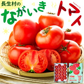 【ふるさと納税】トマト 4kg ～ 8kg 千葉県 とまと ながいきトマト 長生トマト 1箱20玉または24玉入 JA直売所発送 桃太郎 ふるさと 納税 千葉県 長生村