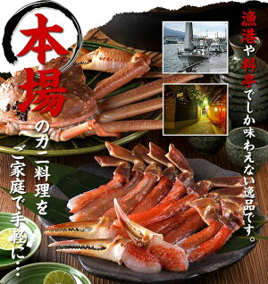 記事番号:34457/アイテムID:156067の画像