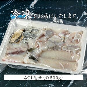 記事番号:34457/アイテムID:156485の画像