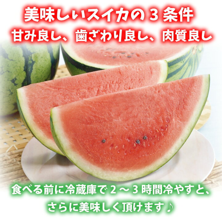 楽天市場 ふるさと納税 先行予約 スイカ １玉 甘さきらめく 夏の天使 7月上旬以降順次発送予定 福井県坂井市