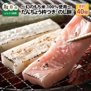 yӂ邳Ɣ[Łz 񂿂傤nû݁v v40 ʍ͔|ĎgpI `̂100gp` y `` YEۑsgp ĂĂ̂܂܂ł    