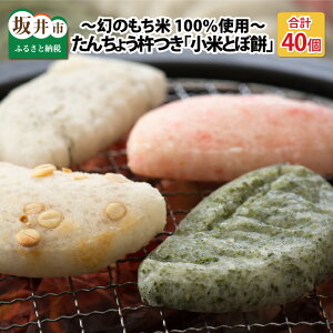 yӂ邳Ɣ[Łz 񂿂傤nuĂƂږ݁v v40 ʍ͔|ĎgpI `̂100gp` y `` YEۑsgp ĂĂ̂܂܂ł   