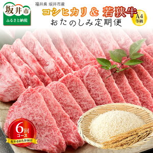 yӂ邳Ɣ[Łzy 6R[Xz 䌧 sYRVqJ  v30kg { sY 䌧Y (Y a)ዷA4 3kg