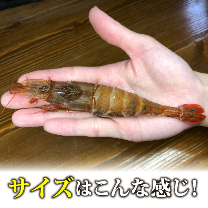 21年秋冬新作 B22 72 モサエビ Fucoa Cl