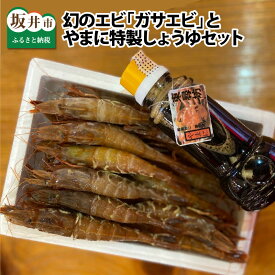 【ふるさと納税】幻の逸品！とろける旨さのガサエビとやまに厳選！特製しょうゆセット