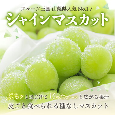 アイテムID:667902の画像3枚目