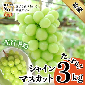楽天市場 ふるさと納税 シャインマスカットの通販