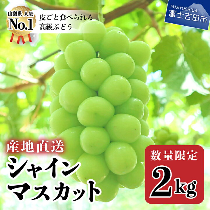 楽天市場 ふるさと納税 山梨 シャインマスカット 3 4房 2kg以上 フルーツ ブドウ 高級 朝採り 産地直送 山梨県産 果物 ぶどう 送料無料 山梨県富士吉田市
