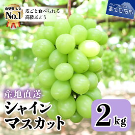 【ふるさと納税】 シャインマスカット 山梨 産地直送 2〜4房 約2kg フルーツ ブドウ 高級 朝採り （クラウドファンディング対象）