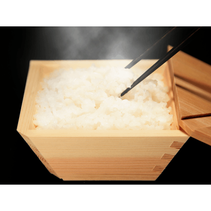 楽天市場】【ふるさと納税】 木製の冷凍ご飯容器 枡のおひつ「COBITSU