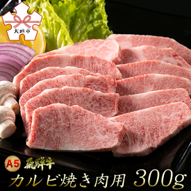 【ふるさと納税】A5飛騨牛カルビ焼肉用　300g（2人前程度）
