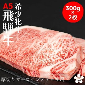 【ふるさと納税】 飛騨牛 最高A5等級 厚切り サーロイン ステーキ 300g×2 メス牛 飛騨牛 牛肉 肉 黒毛和牛 希少部位 国産 厳選 ブランド牛 お取り寄せ 高級 岐阜県 大垣市