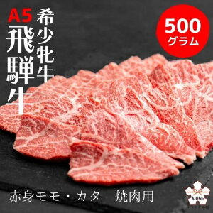 yӂ邳Ɣ[Łz ˋ ōA5 Ԑg /J^ ē 500g BBQ bqq o[xL[ X ˋ   јa 󏭕 Y I uh   򕌌 _s