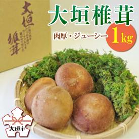 【ふるさと納税】大垣椎茸　肉厚・ジューシー　1kg