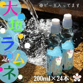【ふるさと納税】 大垣ラムネ（200ml×24本）自噴水を使用 炭酸飲料 ラムネ レトロ 飲料 ガラス瓶 ビー玉 子供会 縁日 お祭り 岐阜県 大垣市