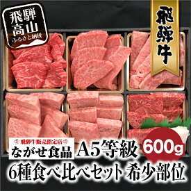【ふるさと納税】飛騨牛 6種食べ比べ セット 600g(100g×6） 赤身　霜降り　希少部位 A5 5等級 黒毛和牛 和牛 牛肉 肉 個包装 ギフト 贈答用 贈り物 お中元　飛騨高山　［c536］