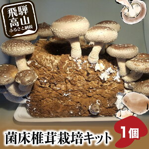 種 しいたけ 菌の人気商品 通販 価格比較 価格 Com