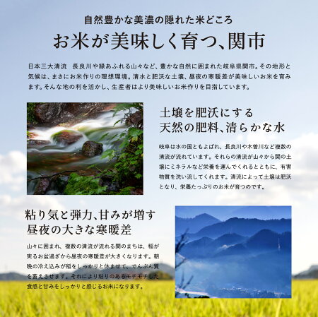 【ふるさと納税】G16-08(精白米)ふるさと米「兵十郎」5kg
