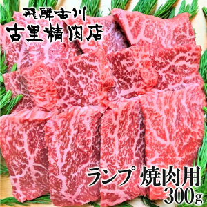 yӂ邳Ɣ[Łzˋ 5 A v ēp300g ˎsYi ×X  a  ē l| l| 30000~ 3~ [C0043ch]